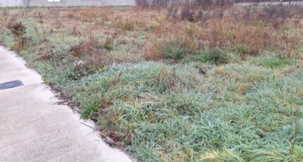 Plaisance-du-Touch Terrain à bâtir - 2395396-9555annonce120260116lHkh7.jpeg Maisons Open