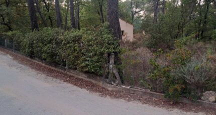 Gréasque Terrain à bâtir - 2397267-11238annonce220260119SZtOm.jpeg Maisons Open