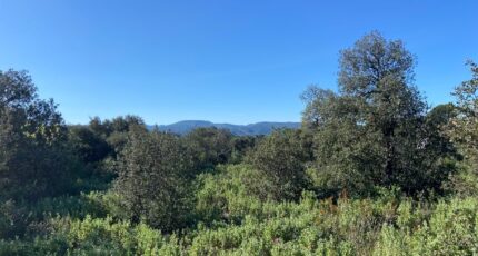 Puget Terrain à bâtir - 2398735-7060annonce120250418E8bZ5.jpeg Maisons Open