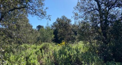 Puget Terrain à bâtir - 2398735-7060annonce4202504181zmHm.jpeg Maisons Open