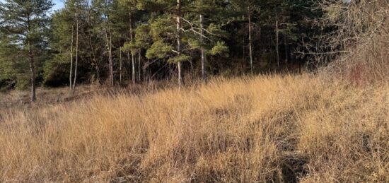 Terrain à bâtir à Tallard, Provence-Alpes-Côte d'Azur
