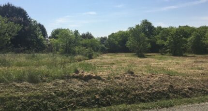 Montpezat Terrain à bâtir - 2401392-3243annonce120250922dg4Al.jpeg Maisons Open