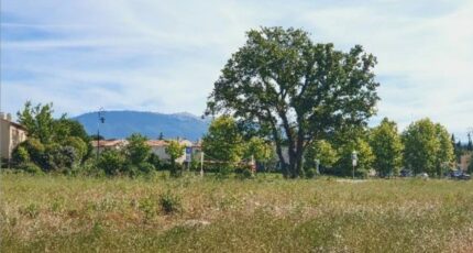 Mazan Terrain à bâtir - 2402253-617annonce220260122J353l.jpeg Maisons Open