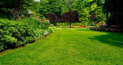 Coupvray Terrain à bâtir - 2391678-10844annonce120260113uyy40.jpeg Maisons Open