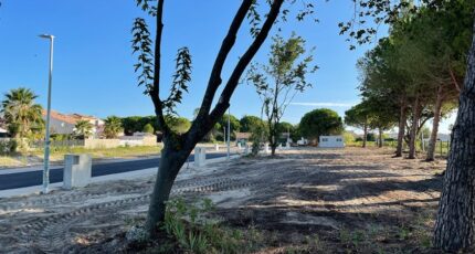 Aigues-Mortes Terrain à bâtir - 2403890-3243annonce320260123cmQmo.jpeg Maisons Open