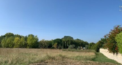 Serviers-et-Labaume Terrain à bâtir - 2404943-3243annonce120260123SqaWi.jpeg Maisons Open