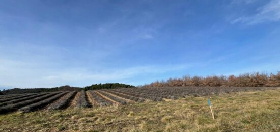 Terrain à bâtir à Roumoules, Provence-Alpes-Côte d'Azur