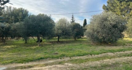 Saint-Chamas Terrain à bâtir - 2405508-11073annonce420260124xZk3T.jpeg Maisons Open