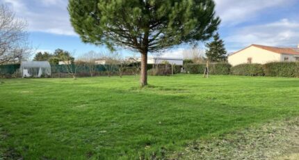 Villeneuve-en-Retz Terrain à bâtir - 2406276-11110annonce220260126cngwn.jpeg Maisons Open