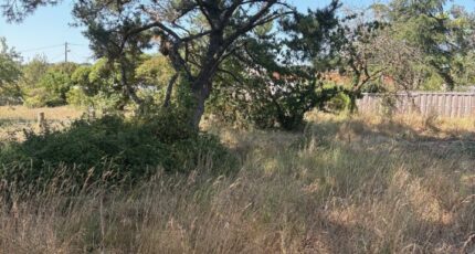 Villeneuve-en-Retz Terrain à bâtir - 2406276-11110annonce320260126O6D41.jpeg Maisons Open