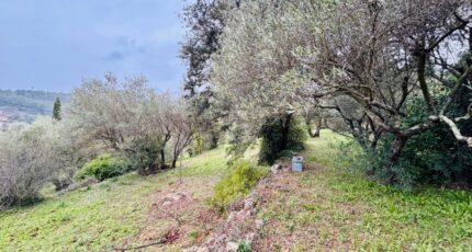 Carnoules Terrain à bâtir - 2407716-9707annonce42026012728Azf.jpeg Maisons Open