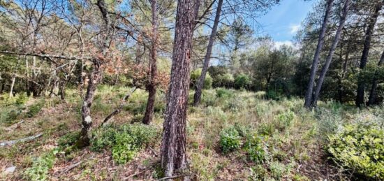 Terrain à bâtir à Rocbaron, Provence-Alpes-Côte d'Azur