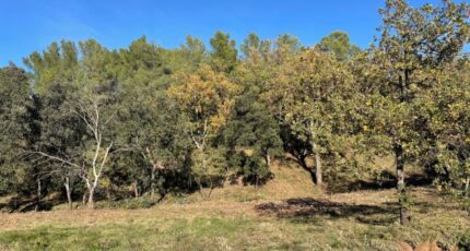 Taradeau Terrain à bâtir - 2409619-9707annonce420260128PqKrx.jpeg Maisons Open