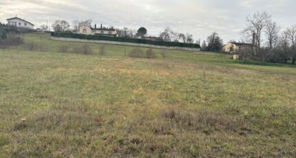 Mézens Terrain à bâtir - 2394274-11356annonce320260128N56Nz.jpeg Maisons Open