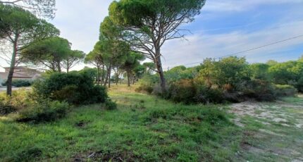 Puget-sur-Argens Terrain à bâtir - 2410387-9911annonce320260128rxDB6.jpeg Maisons Open