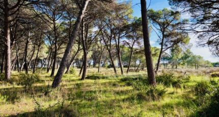 Saint-Maximin-la-Sainte-Baume Terrain à bâtir - 2411133-9707annonce120260129eN4hI.jpeg Maisons Open