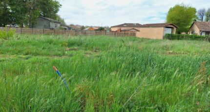 Montbartier Terrain à bâtir - 2412630-9555annonce120260130s8oz6.jpeg Maisons Open