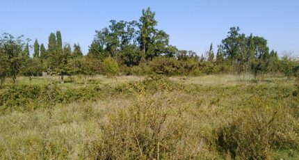 Villeneuve-lès-Avignon Terrain à bâtir - 2415145-695annonce220260202cZs6M.jpeg Maisons Open