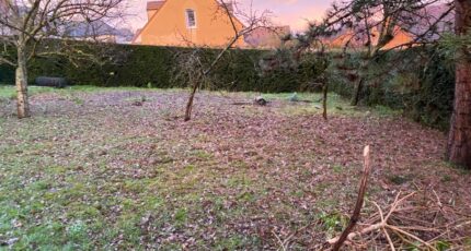 Le Plessis-Belleville Terrain à bâtir - 2414523-11570annonce120260201SNQzZ.jpeg Maisons Open