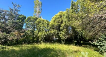 Viviers Terrain à bâtir - 2378823-812annonce12025061870lNS.jpeg Maisons Open