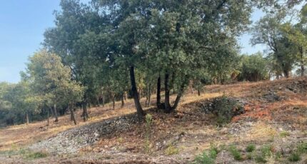 Mondragon Terrain à bâtir - 2378858-812annonce220251230tyAnC.jpeg Maisons Open