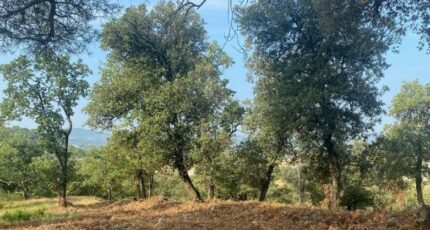 Mondragon Terrain à bâtir - 2378842-812annonce120251230Dig2G.jpeg Maisons Open