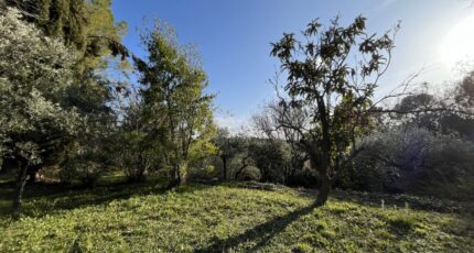 Flayosc Terrain à bâtir - 2415834-11723annonce120260202W2ekf.jpeg Maisons Open