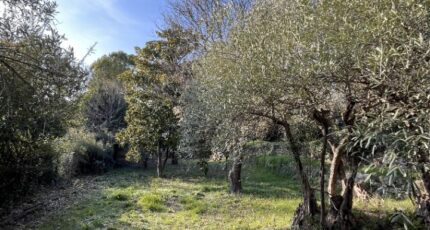 Flayosc Terrain à bâtir - 2415834-11723annonce320260202Nv44X.jpeg Maisons Open