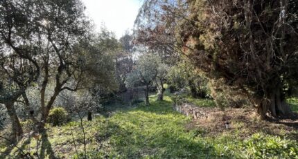 Flayosc Terrain à bâtir - 2415834-11723annonce420260202U4pkN.jpeg Maisons Open