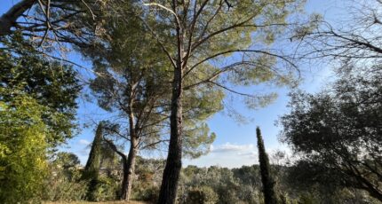 Flayosc Terrain à bâtir - 2415834-11723annonce5202602021VHIw.jpeg Maisons Open