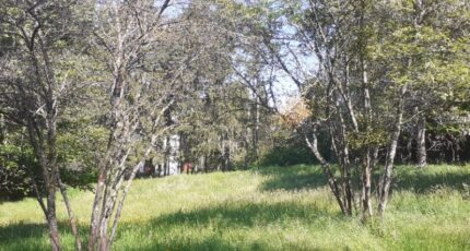 Saint-Bonnet-en-Champsaur Terrain à bâtir - 2411670-7183annonce120260129pMBo9.jpeg Maisons Open