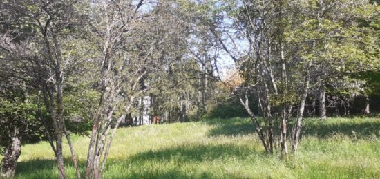 Terrain à bâtir à Saint-Bonnet-en-Champsaur, Provence-Alpes-Côte d'Azur