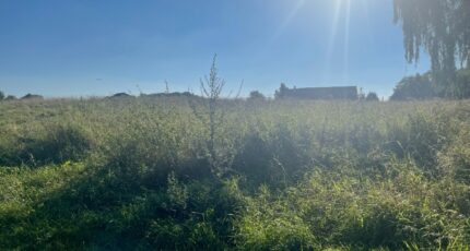 Saint-Germain-sur-Morin Terrain à bâtir - 2355398-11233annonce120251203TpoFv.jpeg Maisons Open