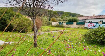 Solliès-Pont Terrain à bâtir - 2418272-9707annonce220260204RletG.jpeg Maisons Open