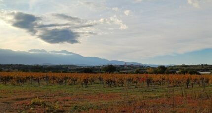 Brouilla Terrain à bâtir - 2419681-4671annonce120260205slqs9.jpeg Maisons Open