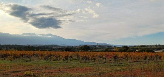 Terrain à bâtir à Brouilla, Occitanie