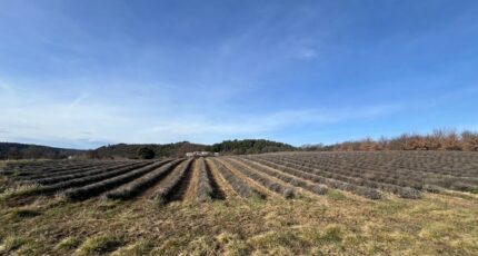 Roumoules Terrain à bâtir - 2419749-4622annonce120260205UMZBA.jpeg Maisons Open