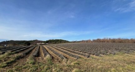 Roumoules Terrain à bâtir - 2419749-4622annonce220260205HsAu0.jpeg Maisons Open