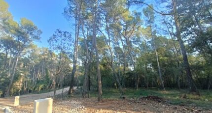 Lorgues Terrain à bâtir - 2419821-9911annonce120260205gNAO5.jpeg Maisons Open