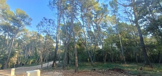 Terrain à bâtir à Lorgues, Provence-Alpes-Côte d'Azur