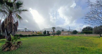 Roquebrune-sur-Argens Terrain à bâtir - 2419743-9911annonce120260205diakT.jpeg Maisons Open