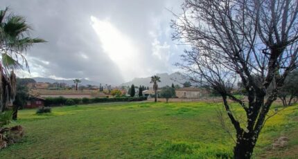 Roquebrune-sur-Argens Terrain à bâtir - 2419743-9911annonce220260205qTu7c.jpeg Maisons Open