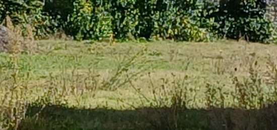 Terrain à bâtir à Boisseron, Occitanie