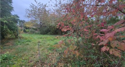 Les Essarts-le-Roi Terrain à bâtir - 2419921-10686annonce120260205Ari7h.jpeg Maisons Open