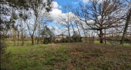 Lherm Terrain à bâtir - 2421606-10326annonce120260206sUgyp.jpeg Maisons Open