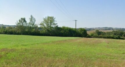 Lasserre Terrain à bâtir - 2421445-10327annonce120260206zvh7X.jpeg Maisons Open