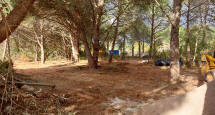 Puget-sur-Argens Terrain à bâtir - 2385752-11157annonce120260108PullC.jpeg Maisons Open