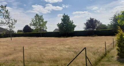 La Neuville-du-Bosc Terrain à bâtir - 2421409-11732annonce3202602069F0Dh.jpeg Maisons Open