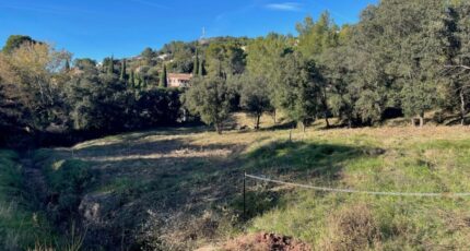 Taradeau Terrain à bâtir - 2422270-10295annonce120250624gUBSK.jpeg Maisons Open