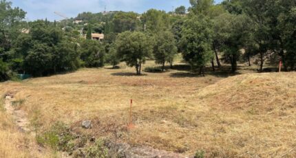 Taradeau Terrain à bâtir - 2422270-10295annonce3202506240OP4N.jpeg Maisons Open